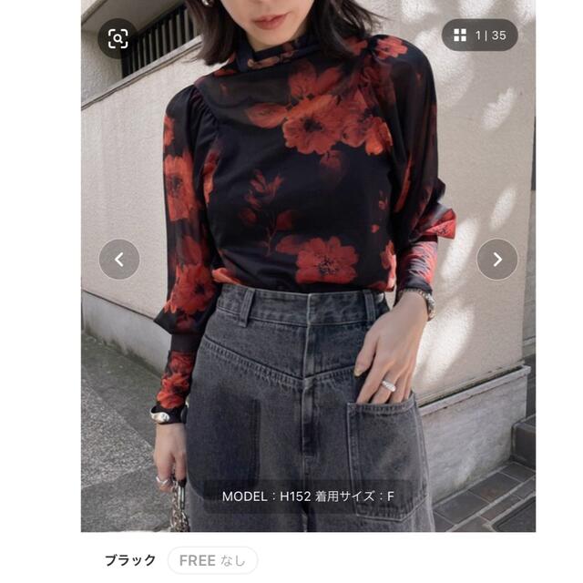 Ameri VINTAGE(アメリヴィンテージ)のLIDIA SHEER TOP AMERI レディースのトップス(シャツ/ブラウス(長袖/七分))の商品写真