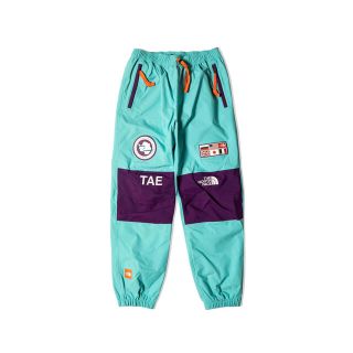 ザノースフェイス(THE NORTH FACE)のThe North Face Trans antarctica pants(その他)