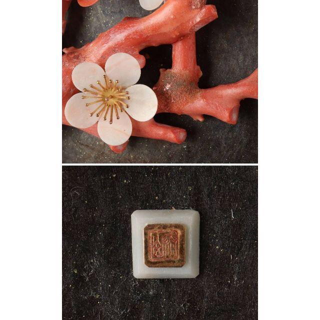 前川泰山 天然珊瑚 彫刻 額装 骨董 コーラル 壁飾 絵画 誕生石 インテリア