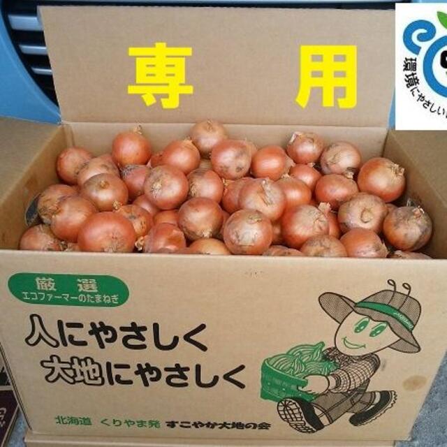 ぴんこ 様専用 北海道産 小さい 玉ねぎ  食品/飲料/酒の食品(野菜)の商品写真