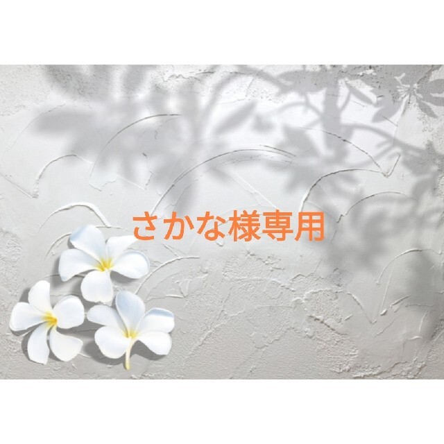 売り最安価格 さかな様専用 オーダーメイド-laventana.casa.cult.cu