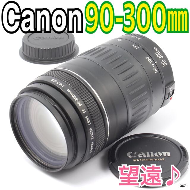 ショッピング キヤノン 望遠レンズ Canon EF90-300mm キャノン 想い出 ...