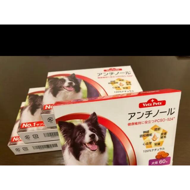 【新品未開封】15 犬用アンチノール 60粒x4箱セット