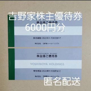 ヨシノヤ(吉野家)の6000円分 吉野家 株主優待券 匿名配送 はなまるうどん(レストラン/食事券)