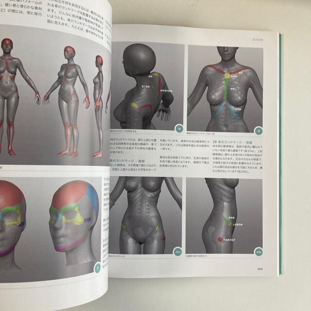 ３Ｄア－ティストのための人体解剖学 ＡＮＡＴＯＭＹ　ＦＯＲ　３Ｄ　ＡＲＴＩＳＴＳ エンタメ/ホビーの本(健康/医学)の商品写真