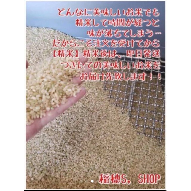 【新米入荷】　さがびより　白米20Kg　米 食品/飲料/酒の食品(米/穀物)の商品写真