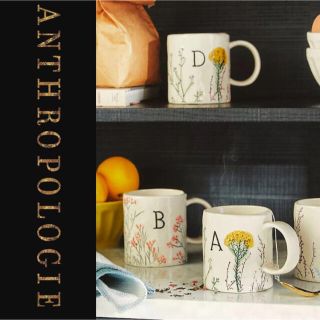 アンソロポロジー(Anthropologie)のAnthropologie ボタニカル イニシャルマグ M 新品(食器)