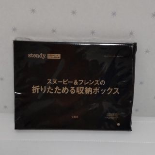 スヌーピー(SNOOPY)のsteady10月号付録　スヌーピー＆フレンズの収納ボックス(小物入れ)