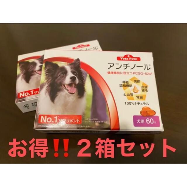 人気最新作】 犬用アンチノール60粒入り新品未開封2箱の通販 by