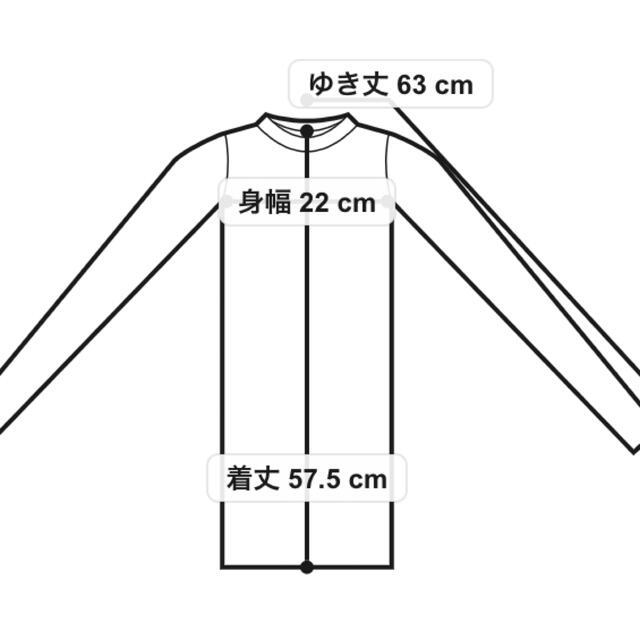 BEAMS(ビームス)のRBS ＊ 21SS未使用 シアープリーツ切替カットソー レディースのトップス(カットソー(長袖/七分))の商品写真