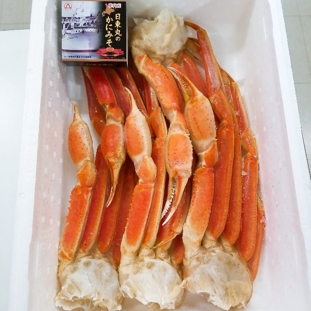 蟹味噌缶詰付　ズワイガニ脚2kg　5～6肩　魚介