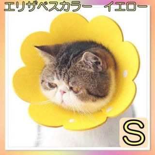 S エリザベスカラー 花　イエロー　ペット用　猫　犬　術後　介護用　舐め防止(猫)