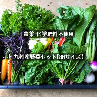 九州産　無農薬野菜セット　80サイズ(野菜)