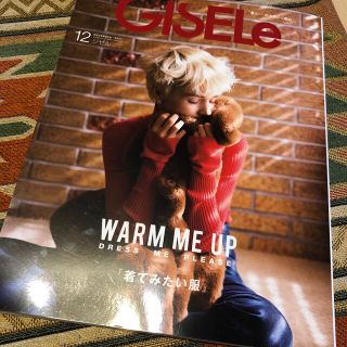 GISELe12月号「着てみたい服」(ファッション)