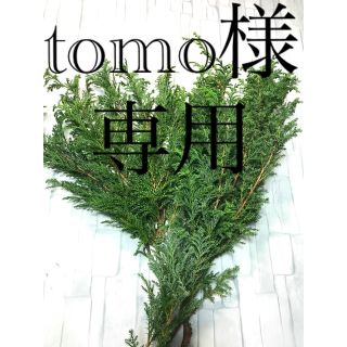 tomo様確認用(各種パーツ)