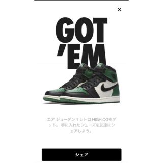 ナイキ(NIKE)の新品未使用　国内正規品　AIR JORDAN 1 PINE GREEN(スニーカー)