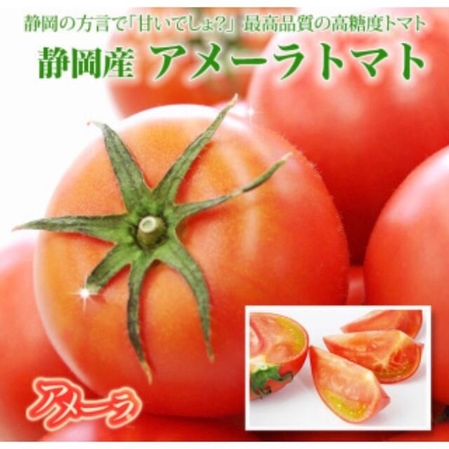 t2ケース　アメーラトマト　自信あります 高糖度　フルーツトマト　品質鮮度抜群！