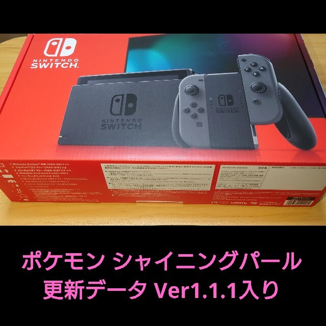 Nintendo Switch 本体 グレー ポケモンSPver1.1.1 美品