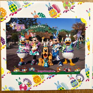 ディズニー(Disney)のディズニー　フォトファン【新品】(写真)