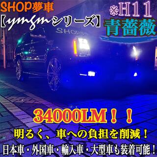 新発売❗️34000LM‼️フォグランプ　LED 青薔薇✨外車も可　ブルーH11(車外アクセサリ)