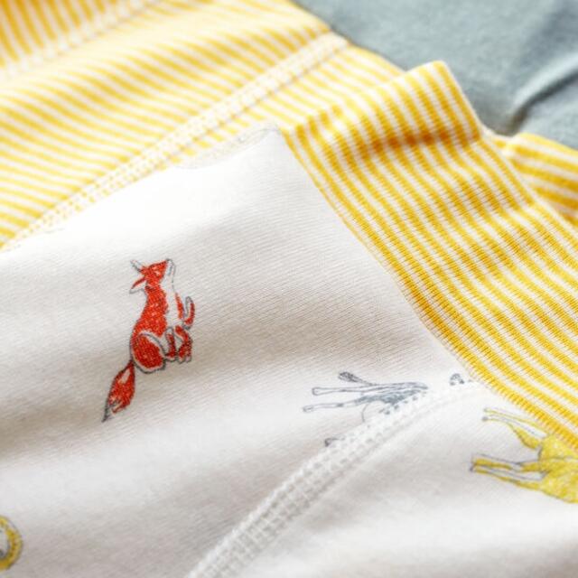 PETIT BATEAU(プチバトー)の新品未使用  プチバトー  トランクス  2枚組  6ans キッズ/ベビー/マタニティのキッズ服男の子用(90cm~)(下着)の商品写真