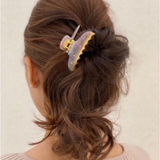 アッカ(acca)の新品　アッカ　中サイズ　クリップ　フォレストプランツ(バレッタ/ヘアクリップ)