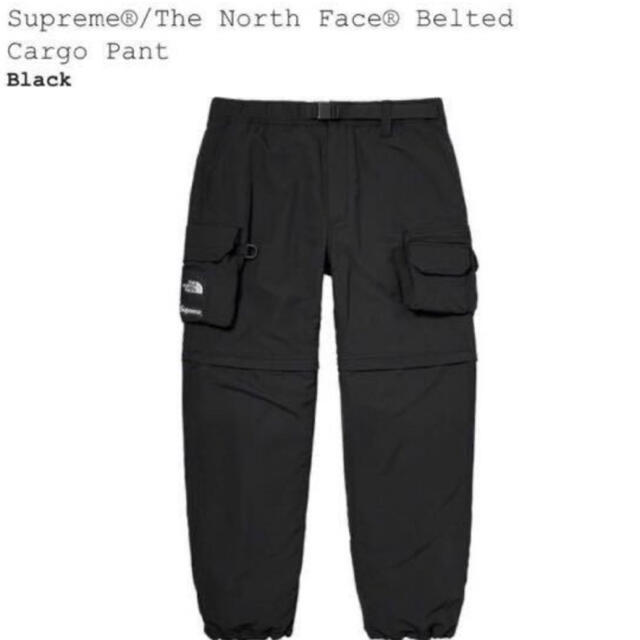 Supreme North Face Belted Cargo Pant