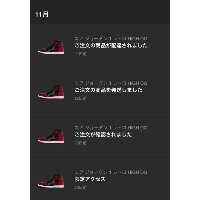 NIKE(ナイキ)のエアジョーダン1 Patent Bred 限定アクセス購入 29㎝ メンズの靴/シューズ(スニーカー)の商品写真