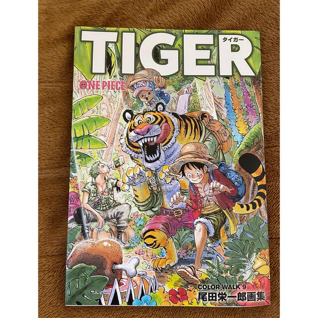 集英社(シュウエイシャ)のCOLORWALK 9 TIGER ONEPIECEイラスト集 エンタメ/ホビーの漫画(イラスト集/原画集)の商品写真