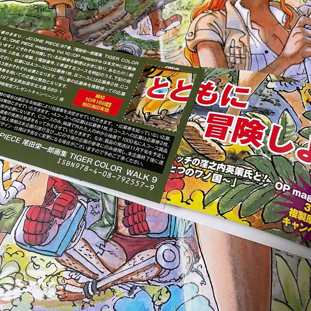 集英社(シュウエイシャ)のCOLORWALK 9 TIGER ONEPIECEイラスト集 エンタメ/ホビーの漫画(イラスト集/原画集)の商品写真