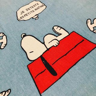 スヌーピー(SNOOPY)の専用❣️(生地/糸)