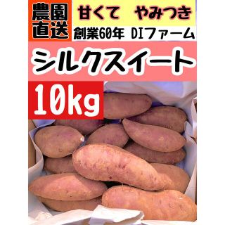 千葉県サツマイモ　熟成シルクスイート　A級　10kg(野菜)