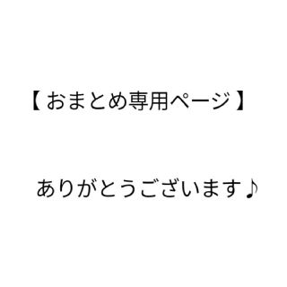 アイフォーン(iPhone)のケーブル2本＋保護キャップ2個＋変換アダプター１個(その他)