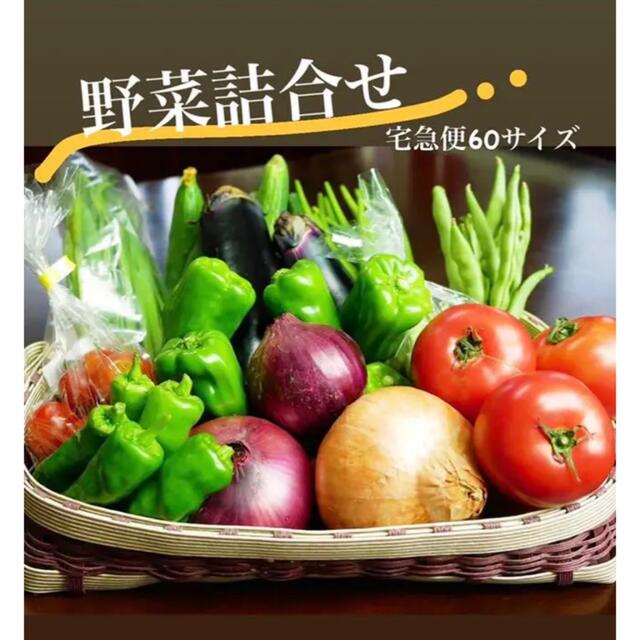 a【おまかせセット！】無農薬野菜詰合せ★宅急便60サイズ 食品/飲料/酒の食品(野菜)の商品写真