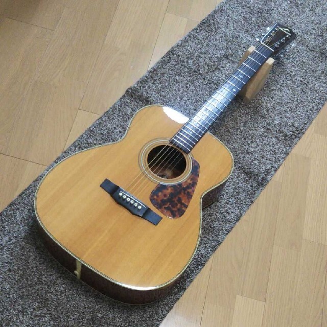 Morris アコースティックギター MF602