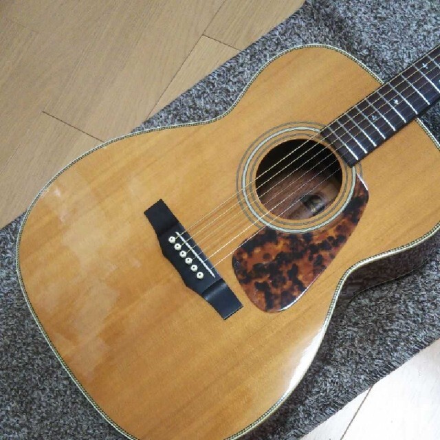 Morris アコースティックギター MF602