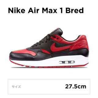 ナイキ(NIKE)のエアマックス1 bred Terry様専用(スニーカー)