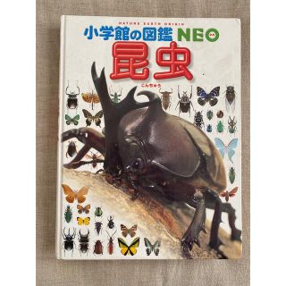 ショウガクカン(小学館)の小学館の図鑑 Neo  昆虫(絵本/児童書)