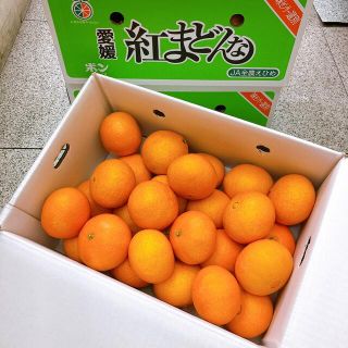 愛媛県産　紅まどんな　Ｌサイズ　5キロ(フルーツ)