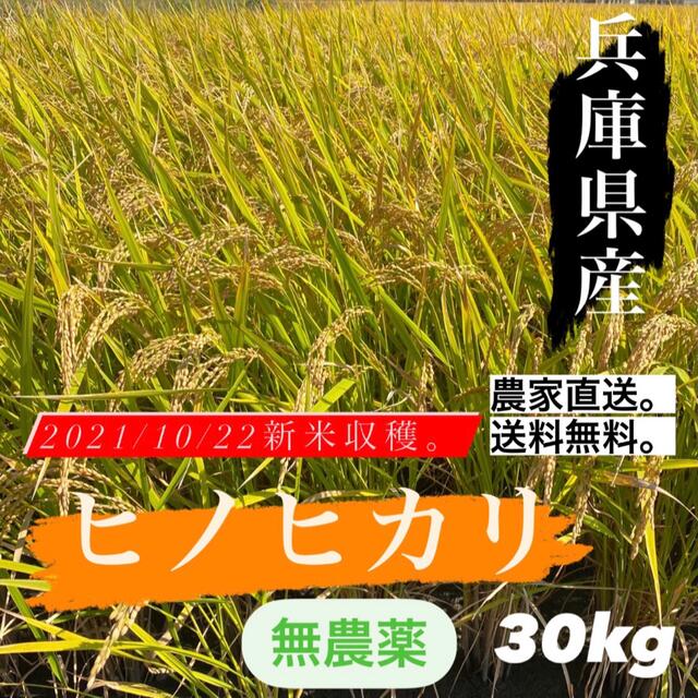 【大特価】ひのひかり ヒノヒカリ 新米 玄米 無農薬 30kg