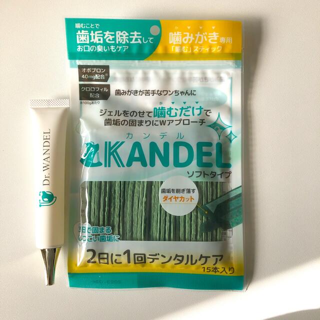 Dr.WANDEL&KANDEL ドクターワンデル　歯磨きジェルとガムのセット