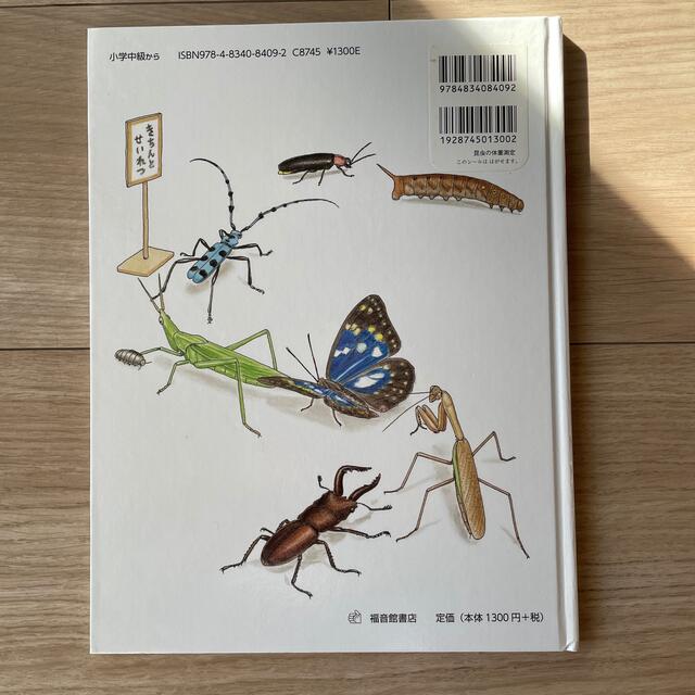 昆虫の体重測定 エンタメ/ホビーの本(絵本/児童書)の商品写真