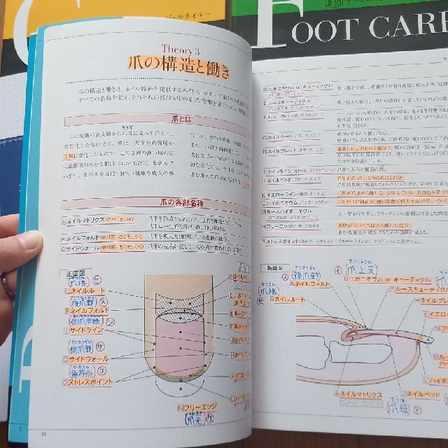 ネイリスト技能検定試験公式問題集　他　4冊セット エンタメ/ホビーの本(資格/検定)の商品写真