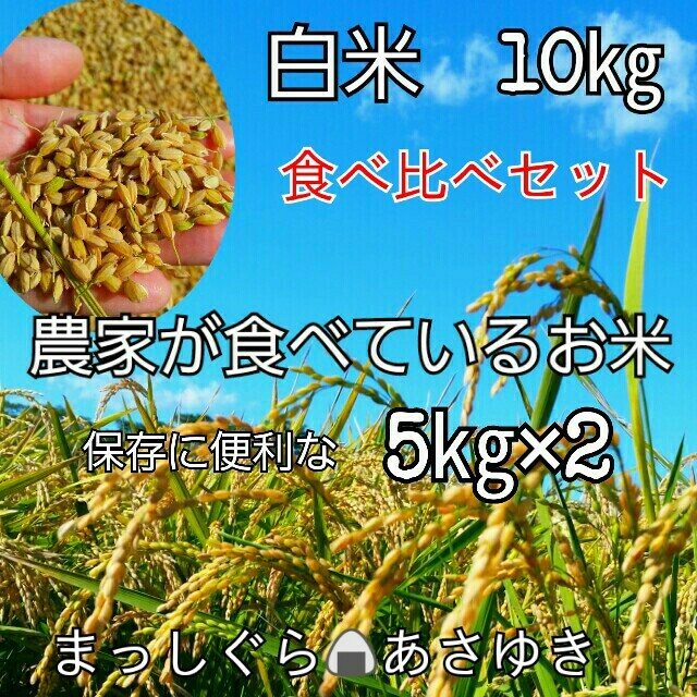 白米　食べ比べ10㎏　農家が食べているお米　米/穀物