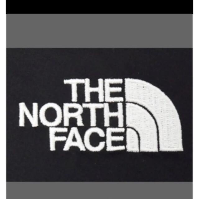 THE NORTH FACE(ザノースフェイス)のTHE NORTH FACE マウンテンパーカー メンズのジャケット/アウター(マウンテンパーカー)の商品写真