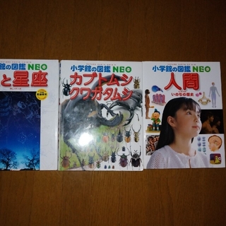 ショウガクカン(小学館)の図鑑　小学舘　図鑑　NEO　美品(絵本/児童書)