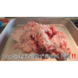 大トロホルモン！超希少北海道産豚きく脂1.0kg きくあぶら 串料理 キク脂菊脂(肉)