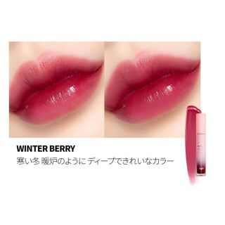 エチュードハウス(ETUDE HOUSE)の【未開封】キボ リッププラス プランパー ボリューム winter berry(リップケア/リップクリーム)