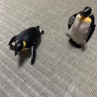 タカラトミー(Takara Tomy)のアニア　ペンギン2体セット(その他)