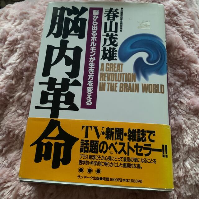 サンマーク出版(サンマークシュッパン)の脳内革命 脳から出るホルモンが生き方を変える エンタメ/ホビーの本(その他)の商品写真